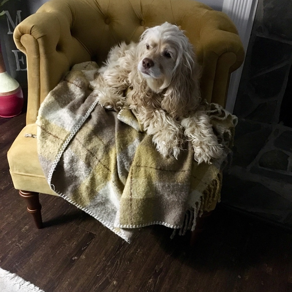 Meet your Posher, Michele